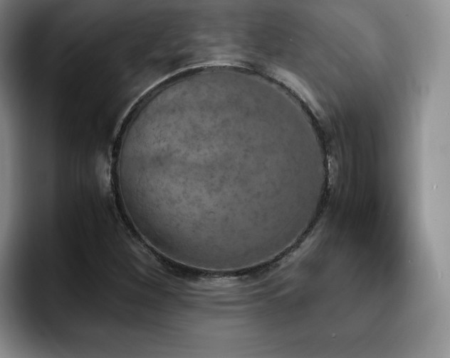 X0000092331260200709141411