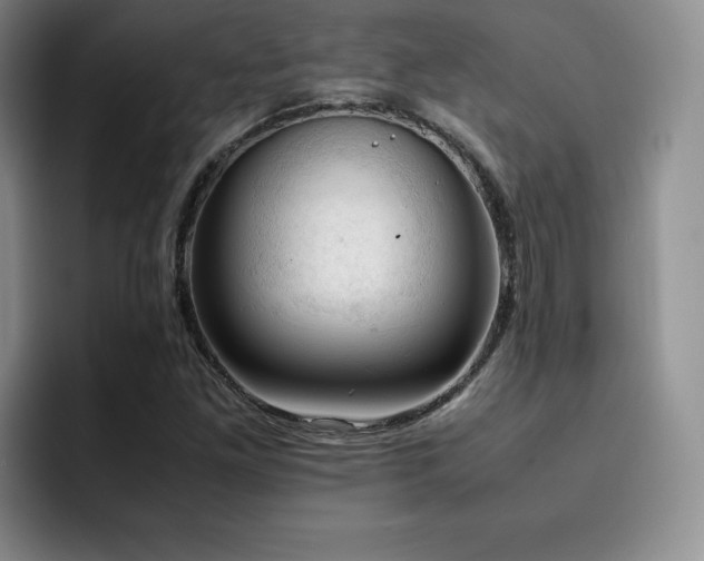 X0000092331261200709141411