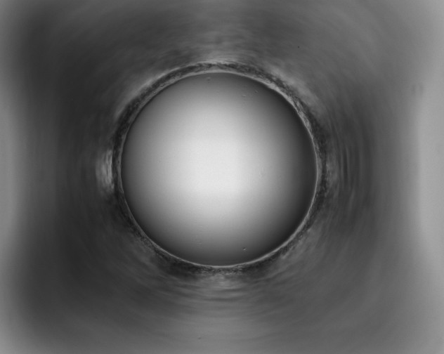 X0000092331262200709141411