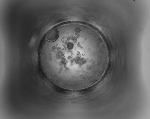 X0000092331263200709141411