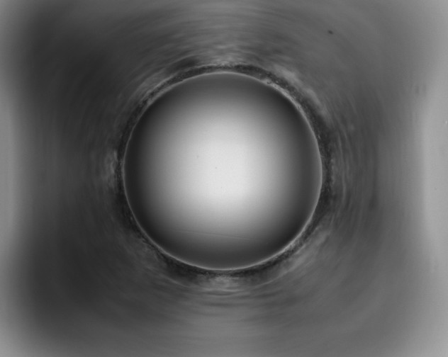 X0000092331265200709141411
