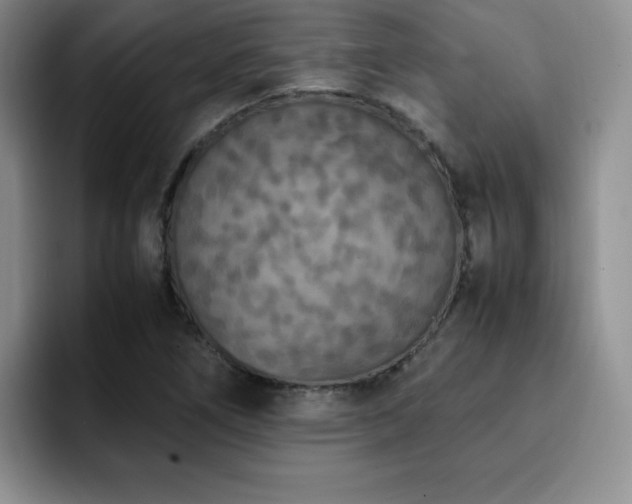 X0000092331266200709141411