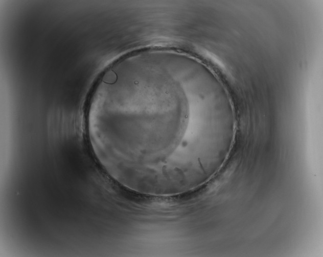 X0000092331267200709141411