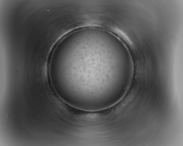 X0000092331268200709141411