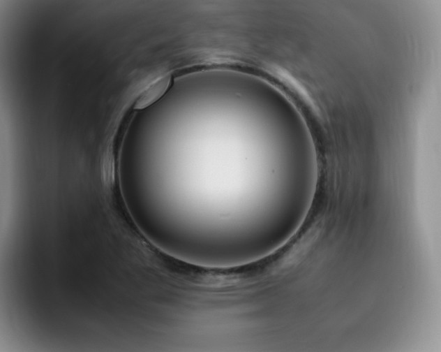 X0000092331269200709141411