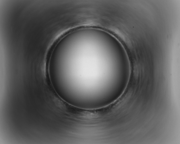 X0000092331270200709141411