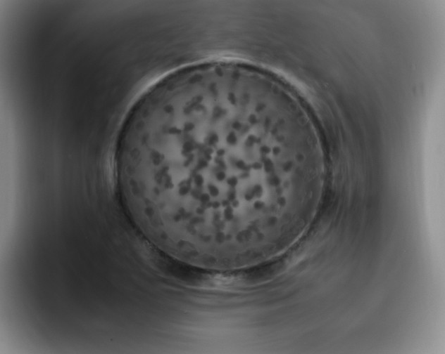 X0000092331271200709141411