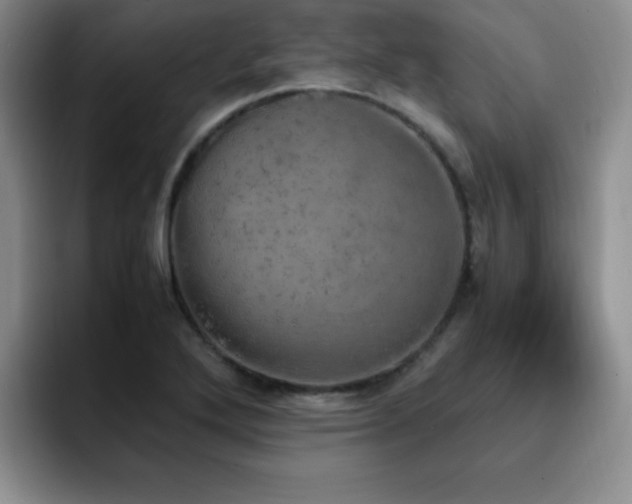 X0000092331272200709141411