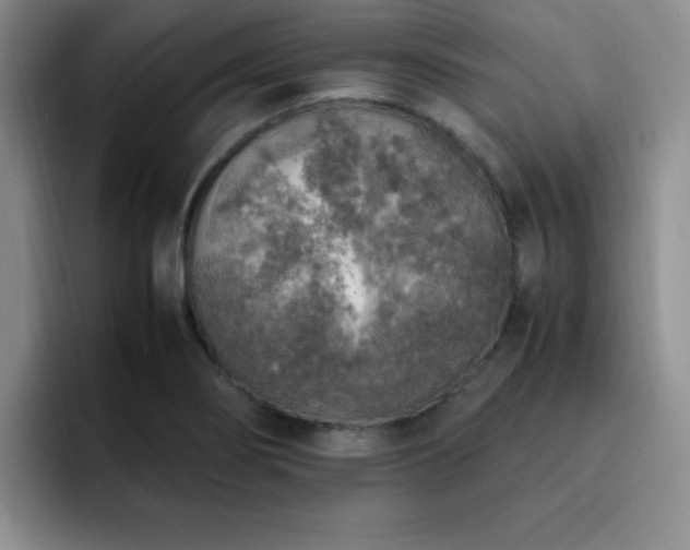X0000092331274200709141411