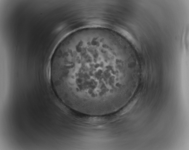 X0000092331275200709141411