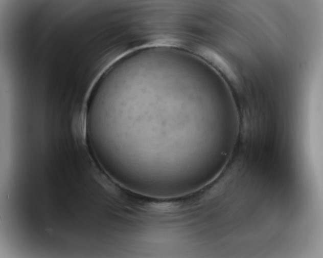 X0000092331276200709141411