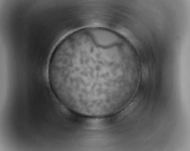 X0000092331278200709141411