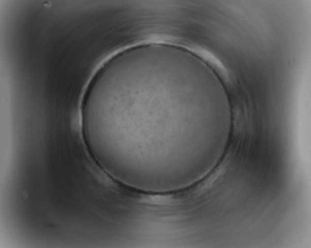 X0000092331280200709141411