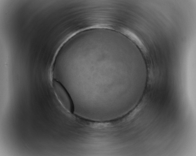 X0000092331284200709141411