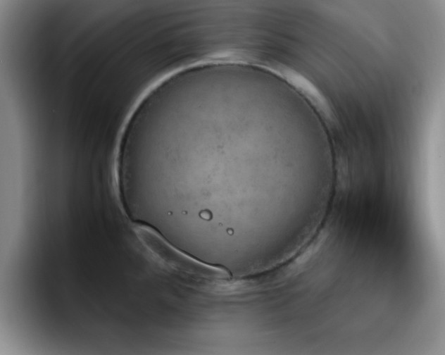 X0000092331288200709141410