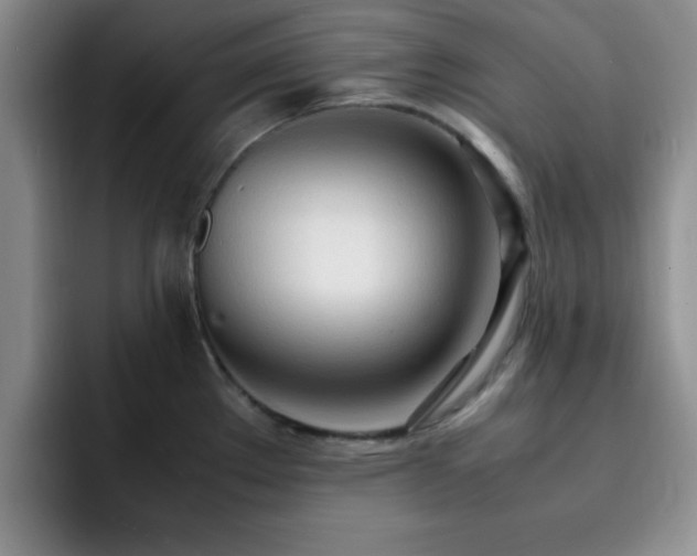 X0000092331289200709141410