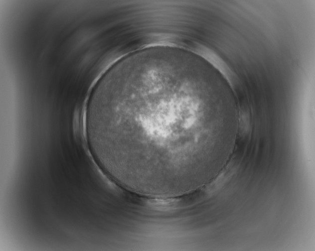 X0000092331290200709141410