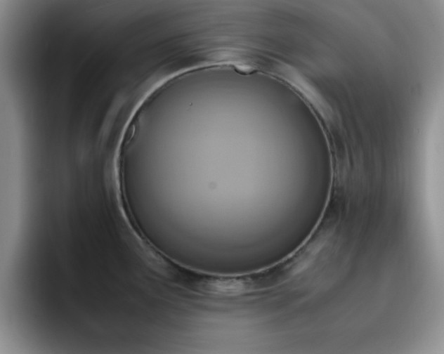 X0000092331291200709141410