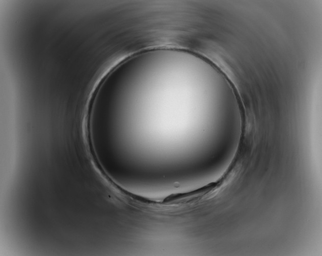 X0000092331293200709141410