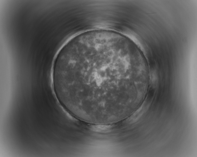 X0000092331294200709141410