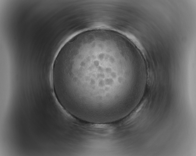 X0000092331295200709141410