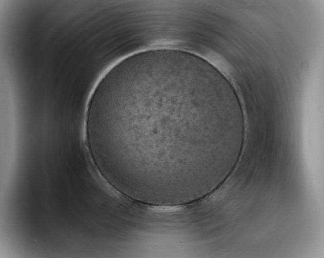 X0000092331296200709141410