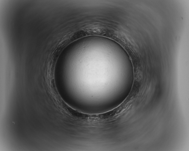 X0000092331297200709141410