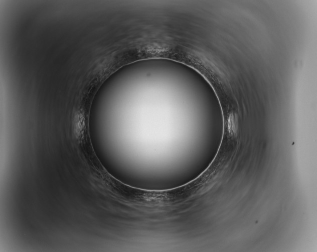 X0000092331299200709141410