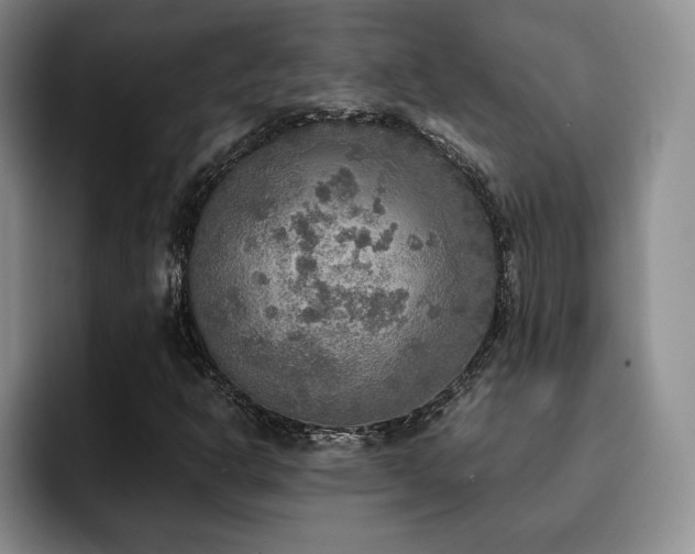 X0000092331302200709141410