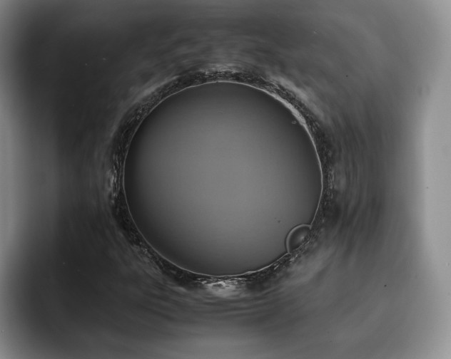 X0000092331303200709141410