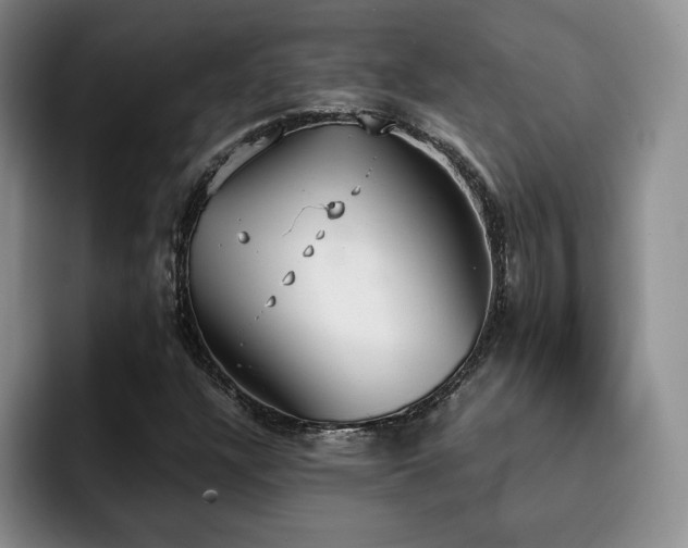 X0000092331304200709141410