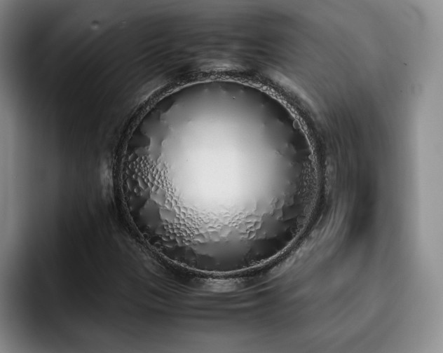 X0000092331305200709141410