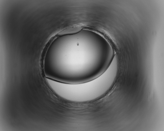 X0000092331308200709141410