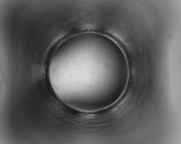 X0000092331309200709141410