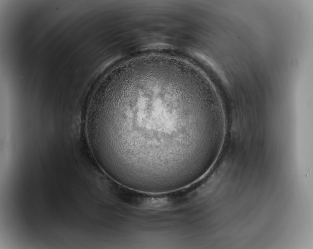 X0000092331313200709141410
