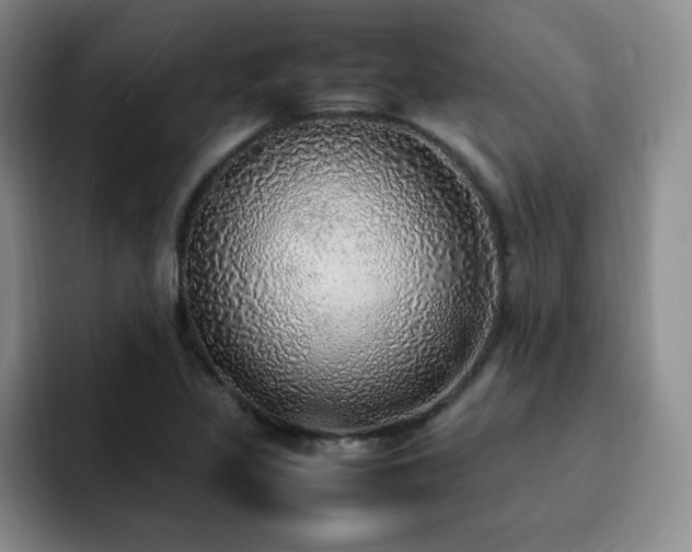 X0000092331317200709141410