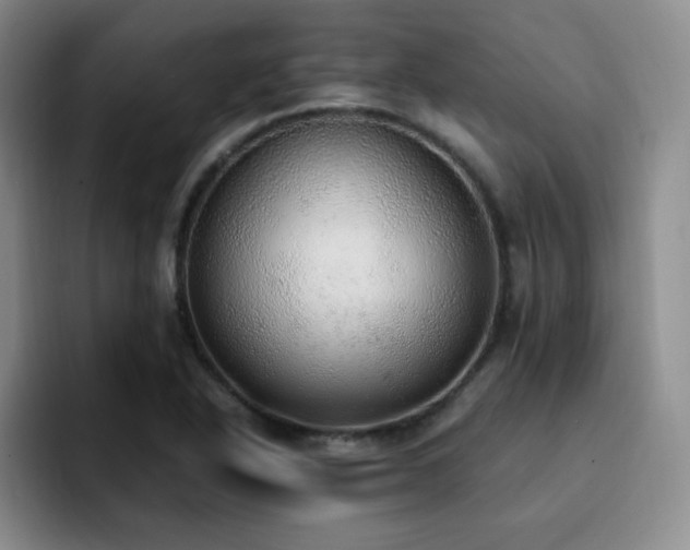 X0000092331318200709141410