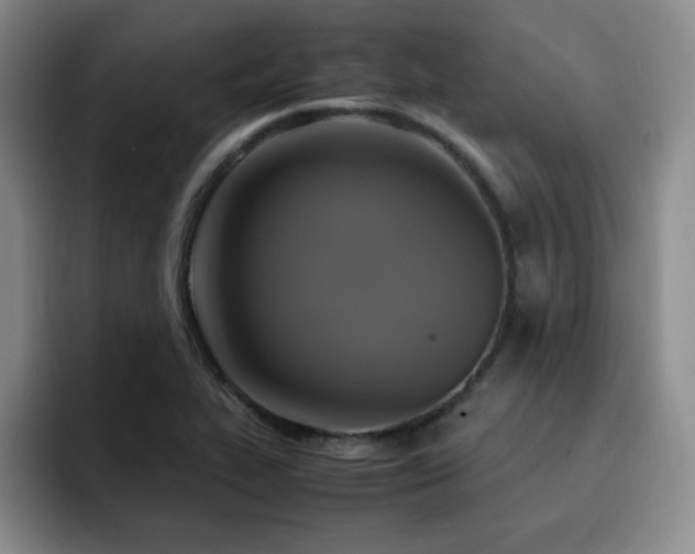 X0000092331319200709141410