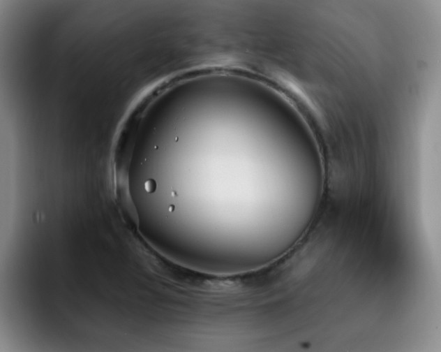 X0000092331320200709141410