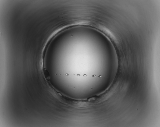 X0000092331324200709141410