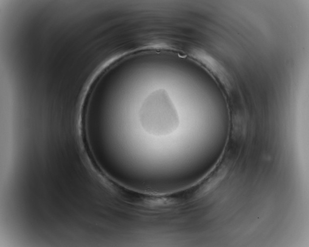 X0000092331331200709141410