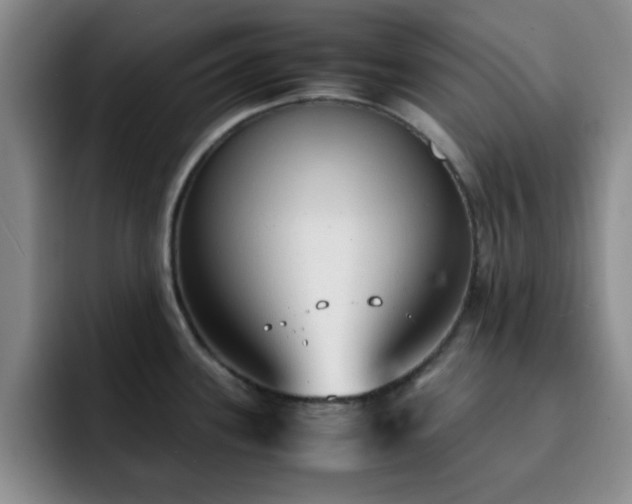 X0000092331339200709141410