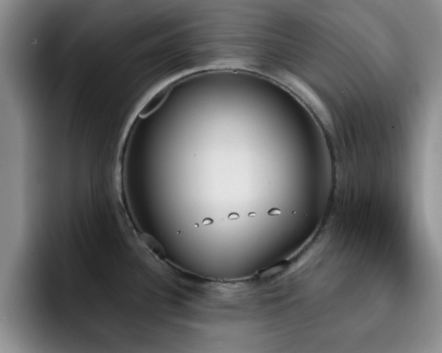 X0000092331340200709141410