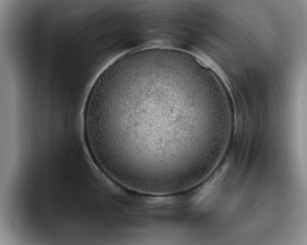 X0000092331341200709141410