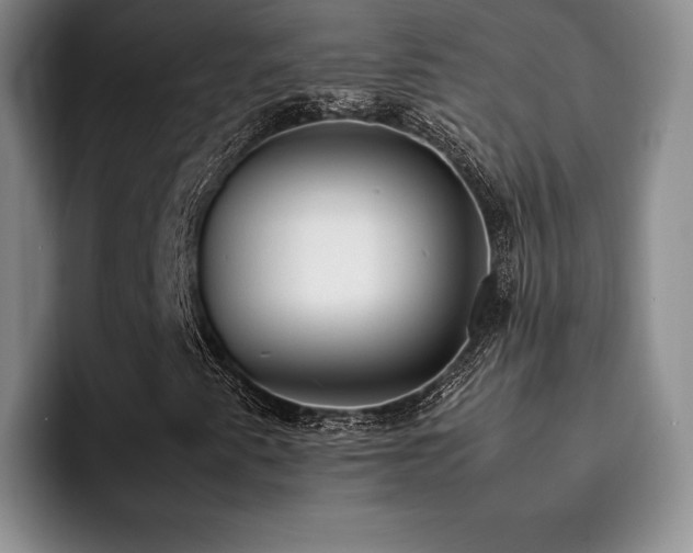 X0000092331345200709141410