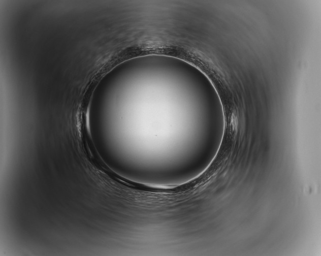 X0000092331348200709141410