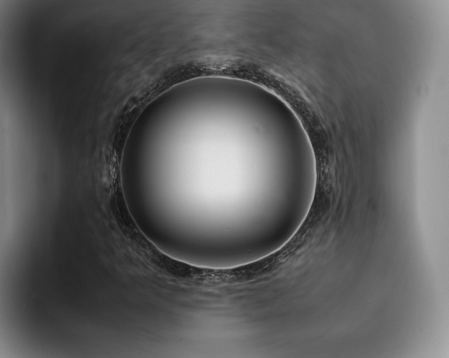 X0000092331349200709141410