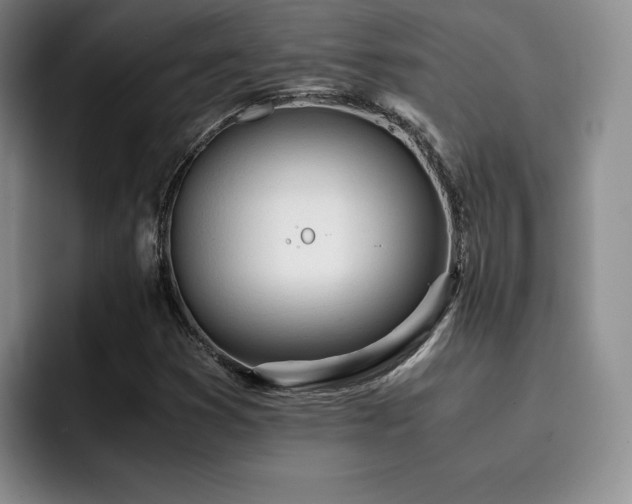 X0000092331353200709141410