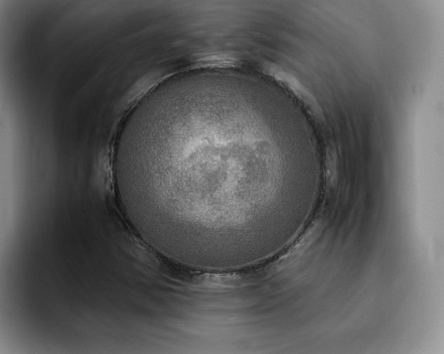 X0000092331354200709141410