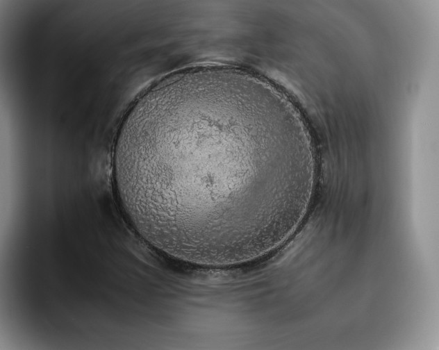X0000092331355200709141410